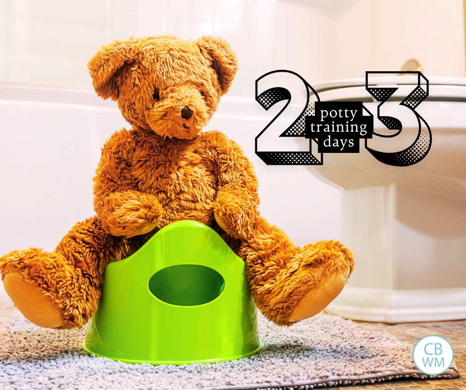 Potty Training days 2-3 cover image