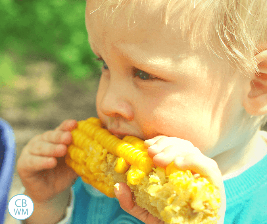 Tips for Feeding Your Pre-Toddler. Tips for feeding your 12-18 month old. What to feed and when to feed. 