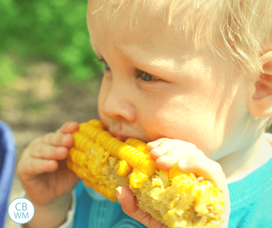 pretoddler eating corn