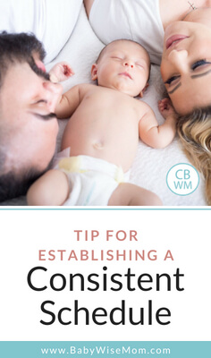 Tip for Establishing Consistency in Baby's Schedule—Make Sacrifices. If you want to establish a consistent schedule, you need to be willing to make sacrifices. 