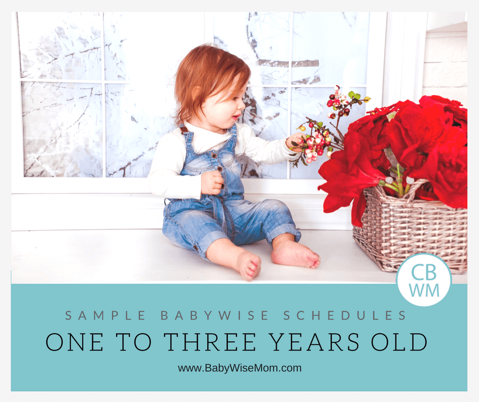 Sample Babywise Schedules for Toddlers: One to Three Years Old. Sample schedules for toddlers ages 12 months to three years old.