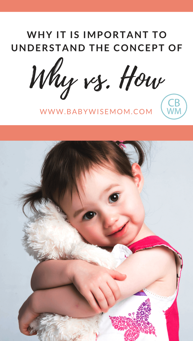 Understanding Why vs. How When Disciplining | Babywise | On Becoming Babywise | #babywise