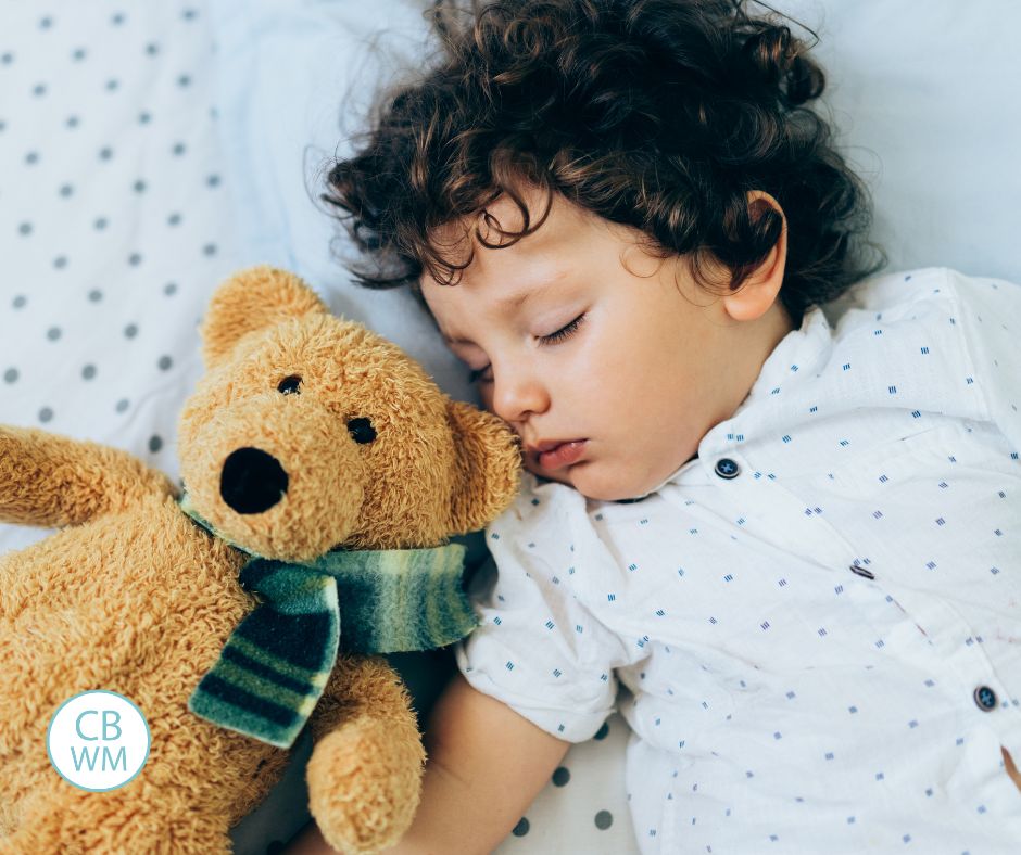 Toddler taking a nap with a teddy bear