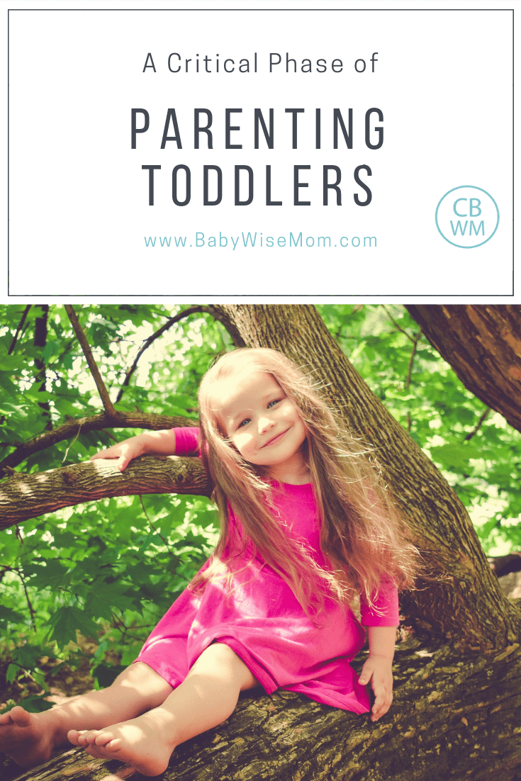 Parenting Toddlers: a Critical Phase of Learning. Reasons why you should direct toddler curiosity rather than let the toddler have free reign. 