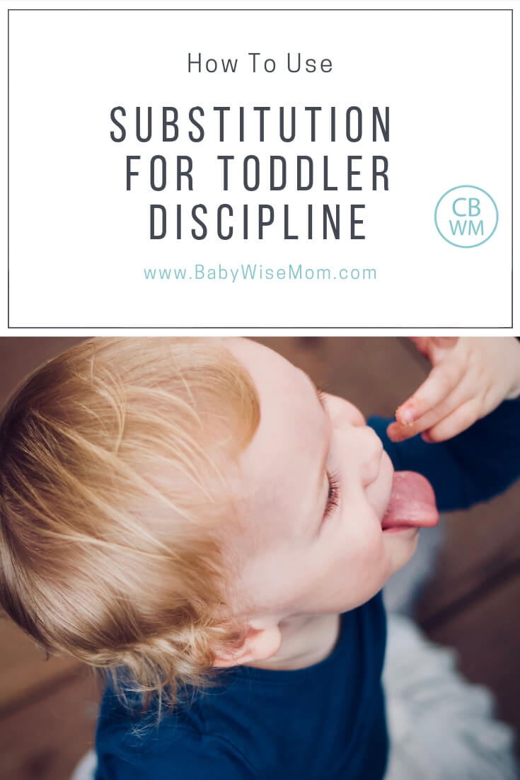 How to use substitution as a tool when your toddler does something he shouldn't. This is a great discipline tool for the toddler age range.