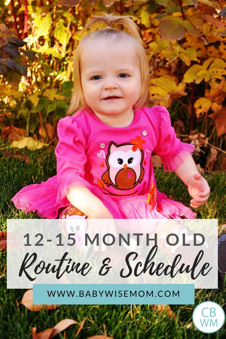 12-15 months old routine and schedule