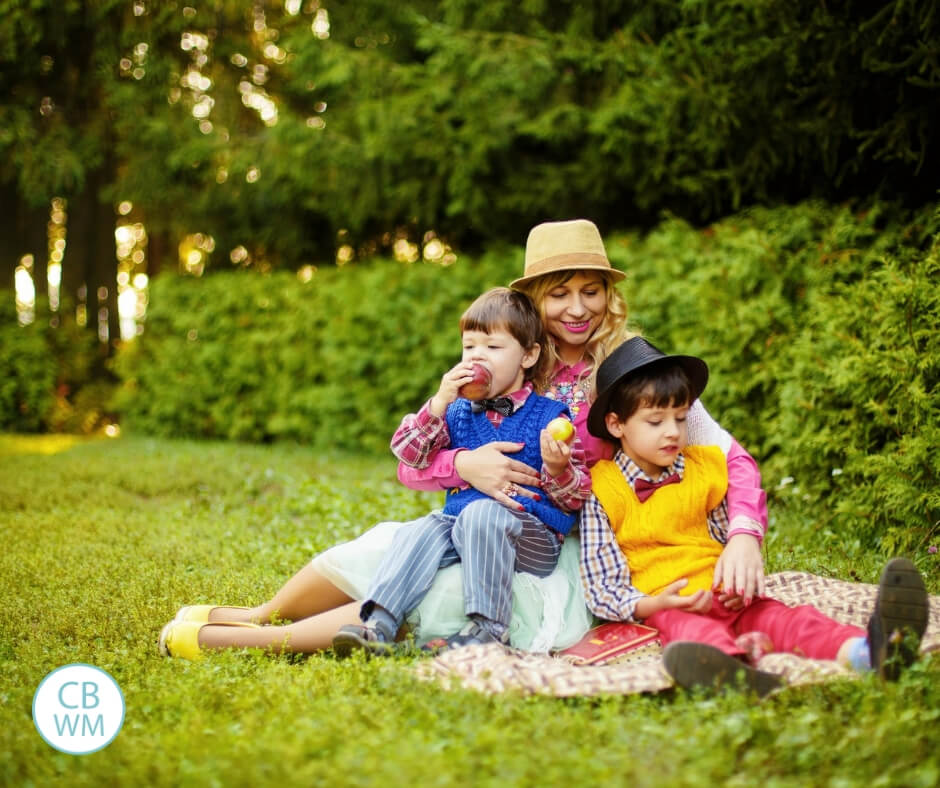 Mom with two boys siting on a blanket on the grass