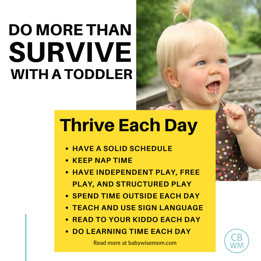 Do more than survive with a toddler graphic