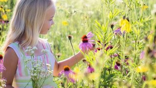 Girl looking at wildflowers