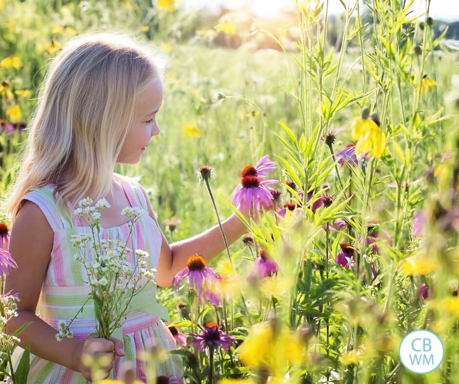 Girl looking at wildflowers