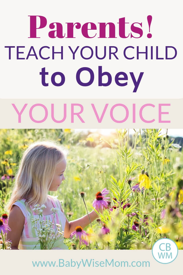 Why you want to train your child to obey you rather than just memorize rules of what is okay to do and what is not okay to do. 