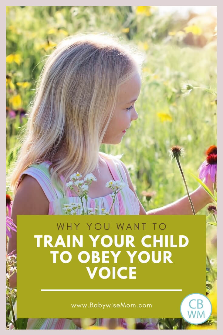 Girl looking at wild flowers with text that reads Why you want your child to obey your voice