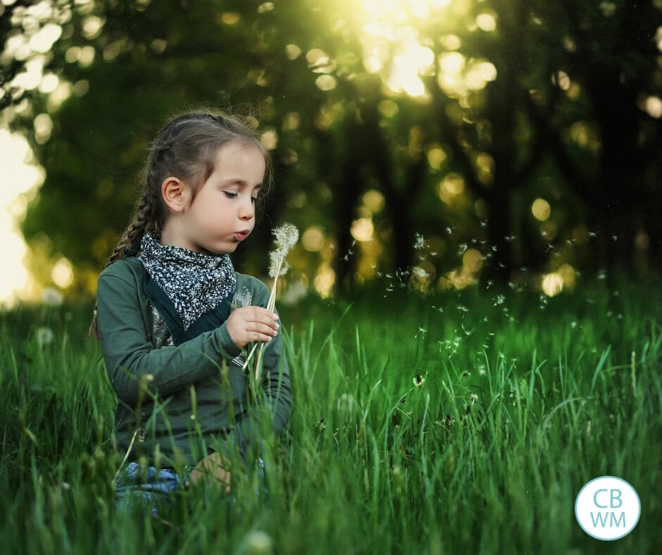 Girl in tall grass blowing on dandelions