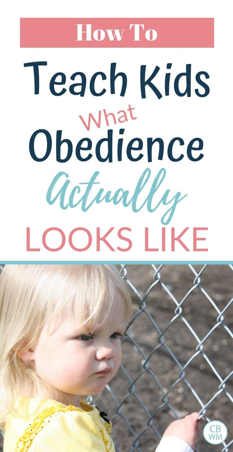 How to teach obedience pinnable image