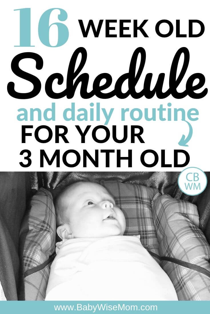 16 week old schedule and daily routine for your 3 month old schedule