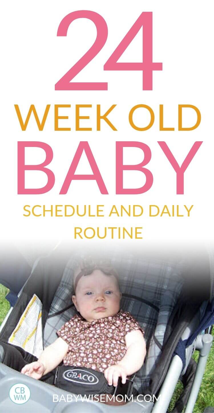 24 week old baby schedule pinnable image