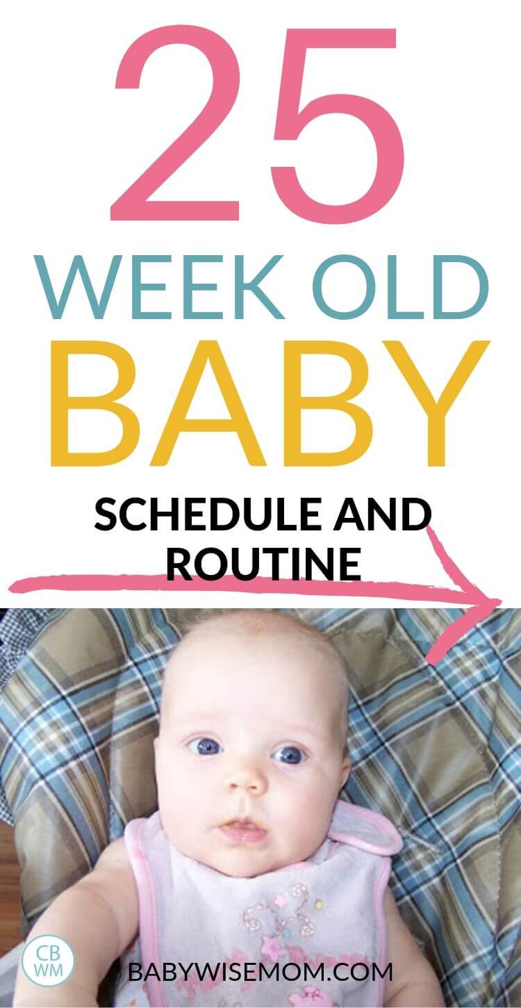 25 week old baby schedule pinnable image