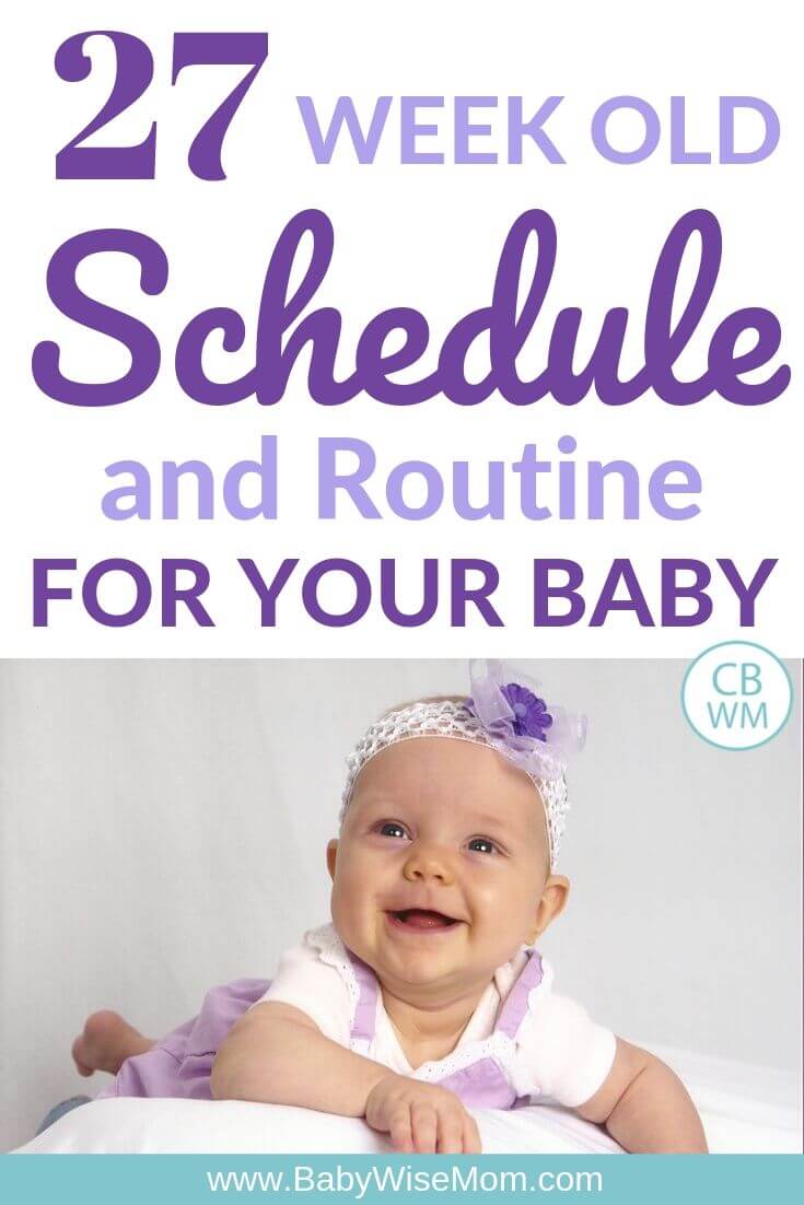 27 week old schedule pinnable image