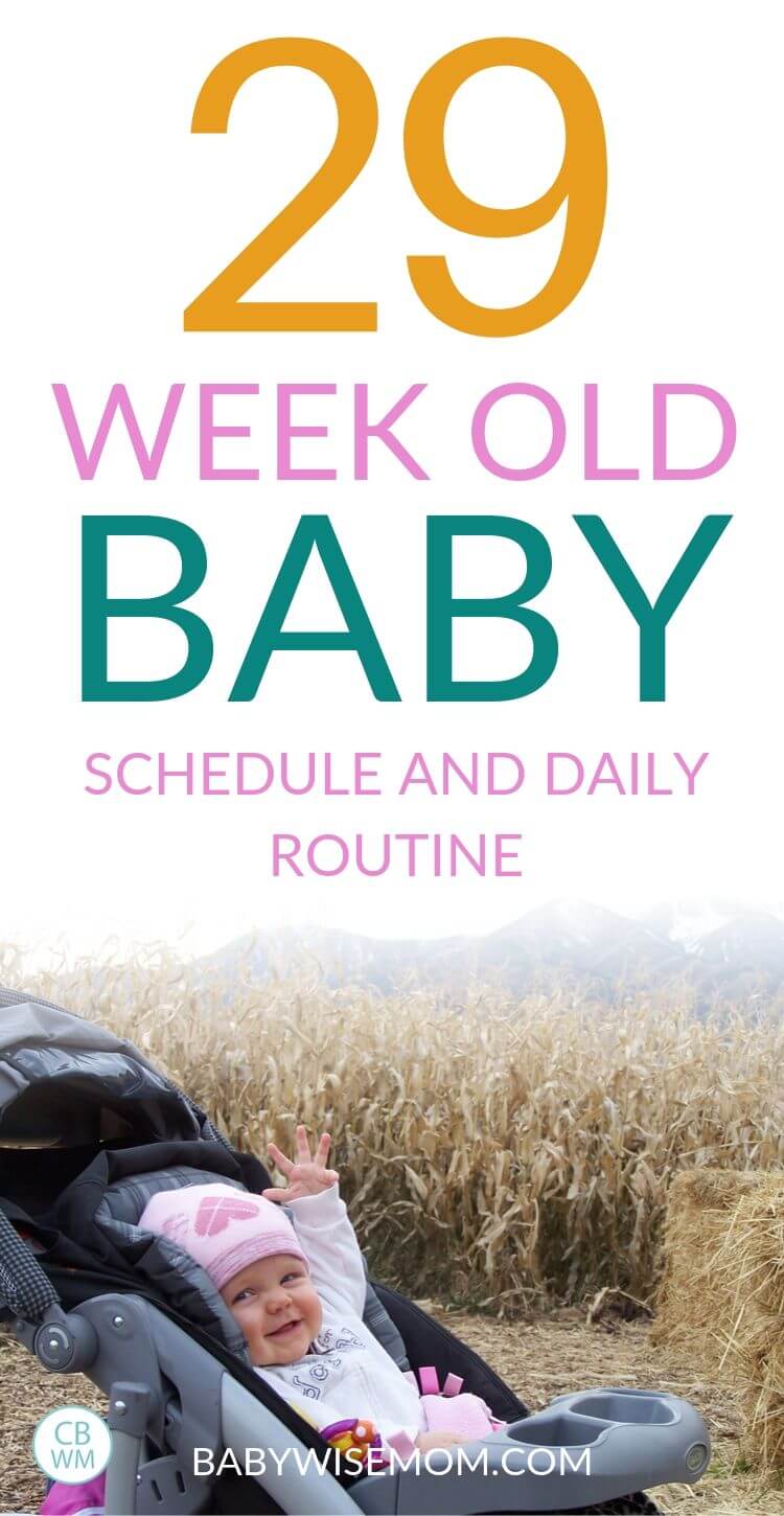 29 week old baby schedule Pinnable Image