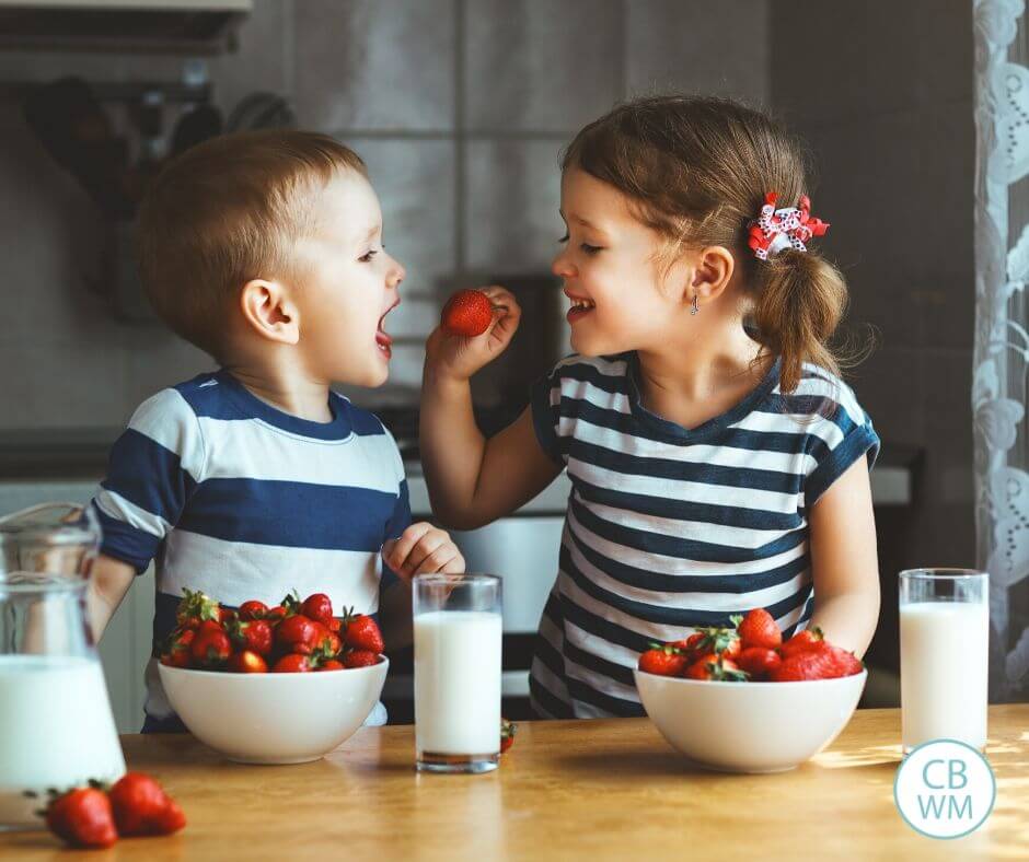 Sister feeding strawberries to brother