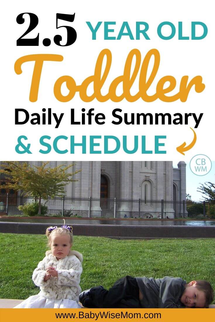 2.5 year old toddler schedule Pinnable Image