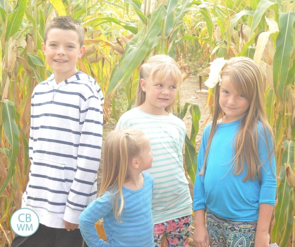 Four kids in a corn field