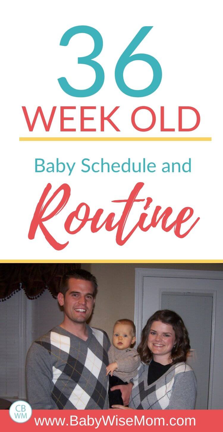 36 week old baby schedule and routine pinnable image