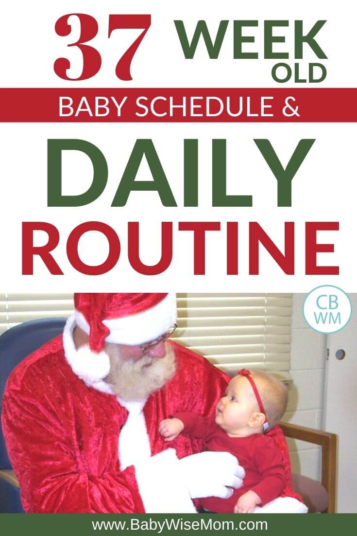 37 week old schedule and routine pinnable image