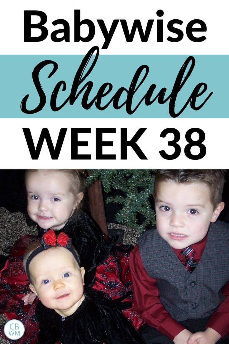 Babywise Schedule 38 Weeks Old pinnable image