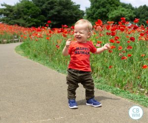 Happy toddler walking among tulips