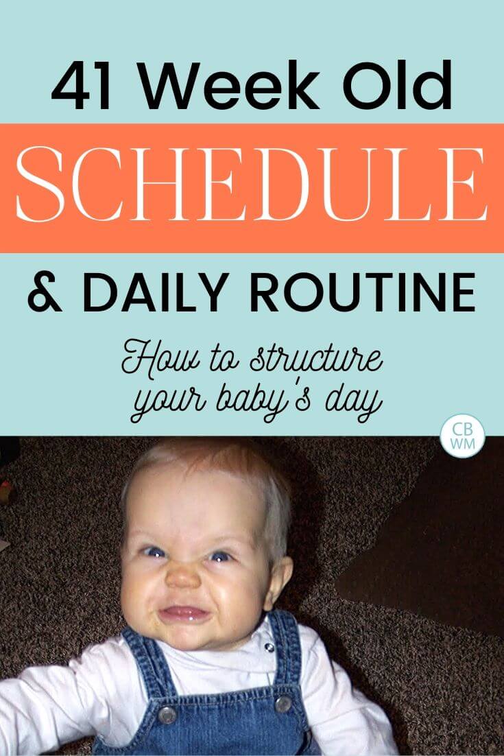 41 week old schedule and daily routine pinnable image