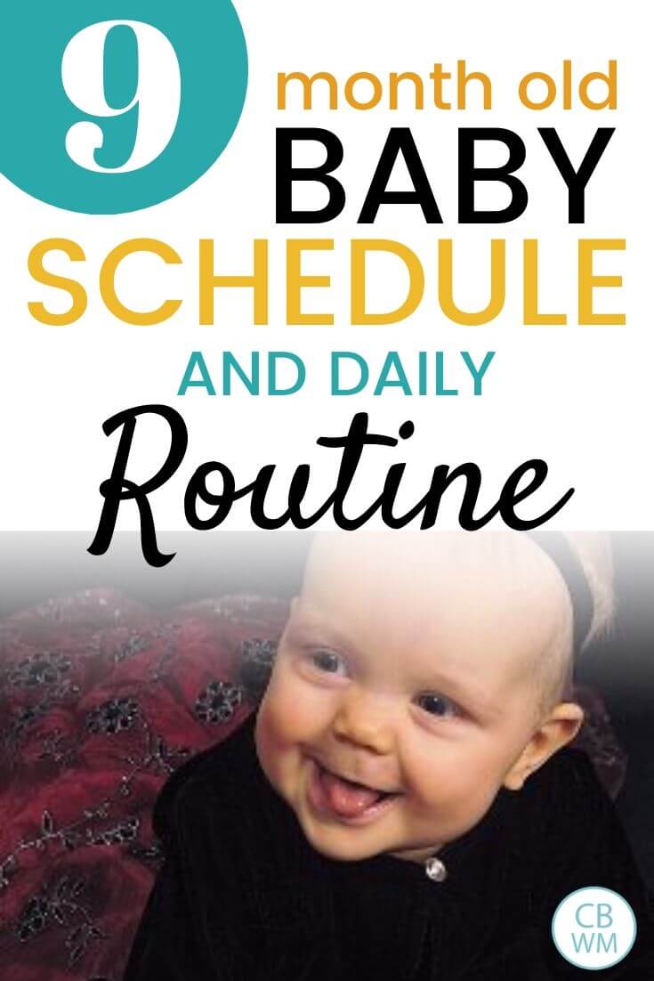 9 month old baby schedule and daily routine pinnable image