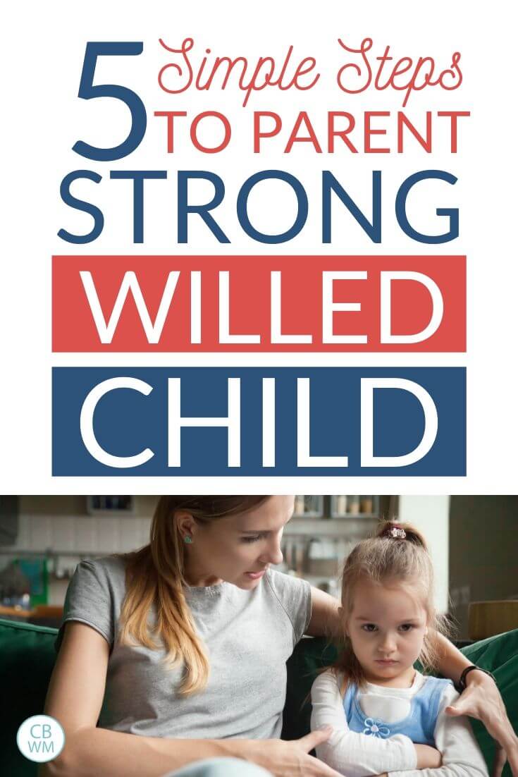 Parent a strong willed child pinnable image