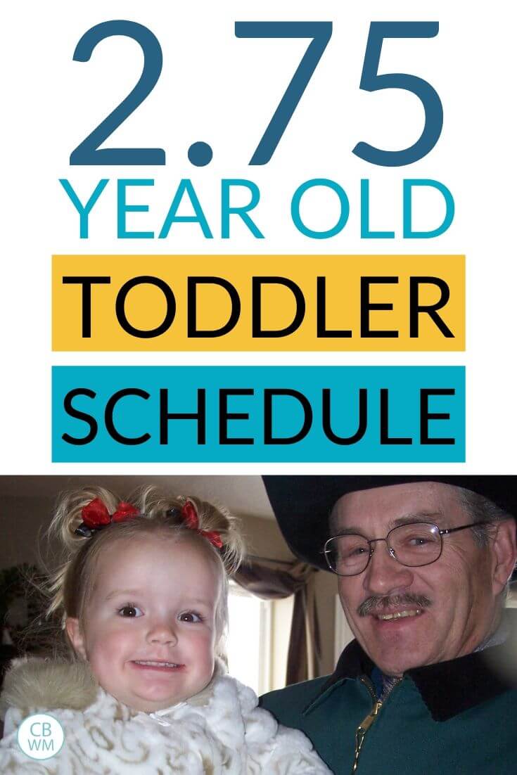 2 year old toddler schedule pinnable image