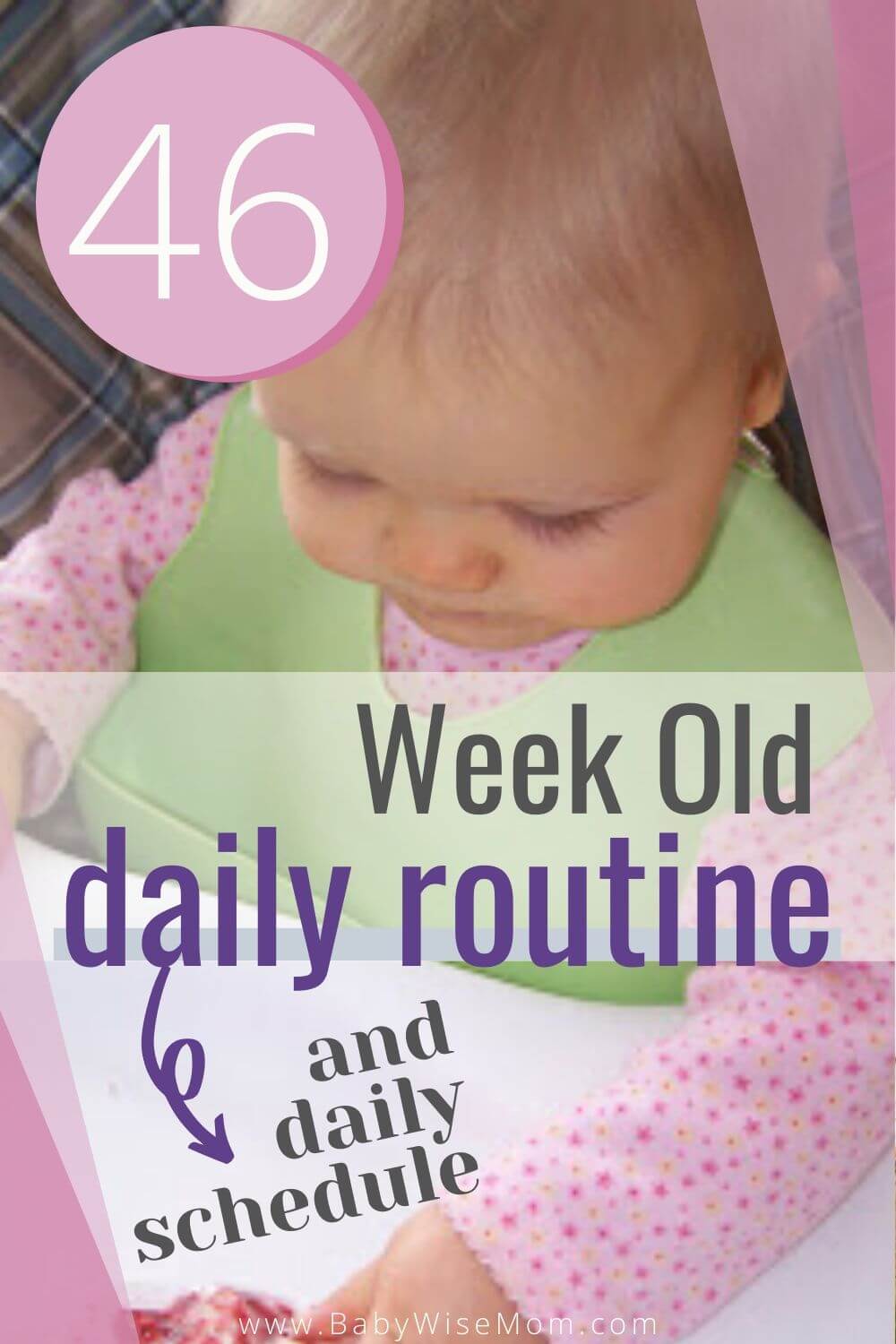 46 week old baby schedule pinnable image