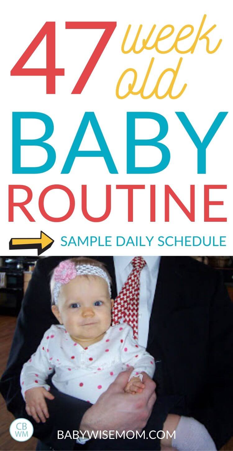 47 week old baby routine and daily schedule pinnable image