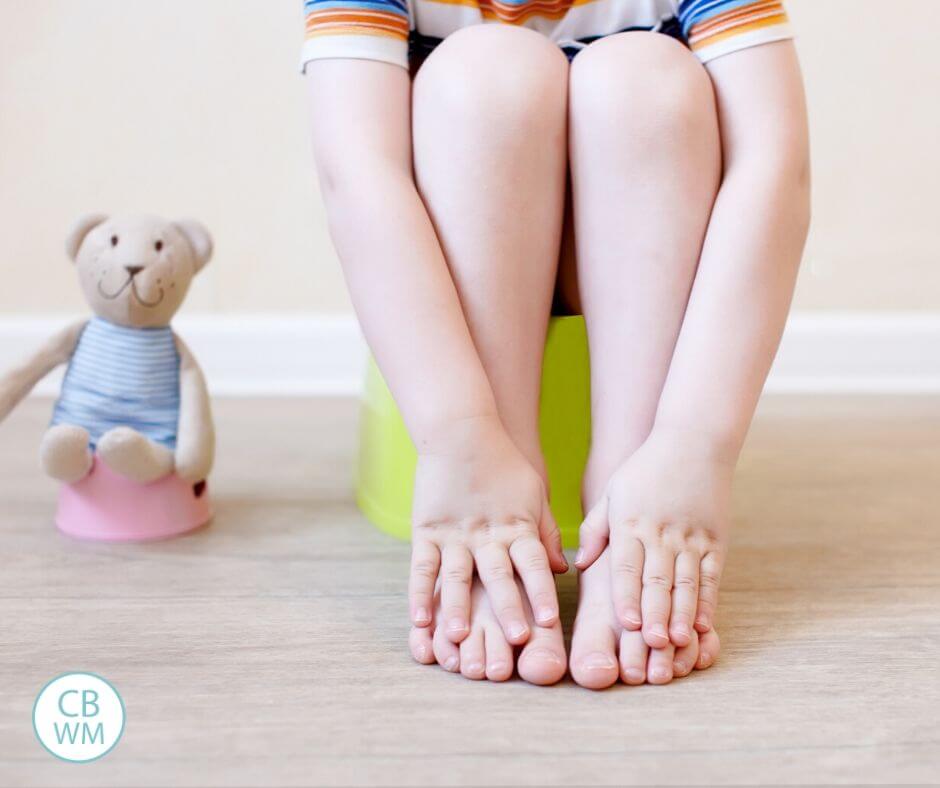 Potty Training image