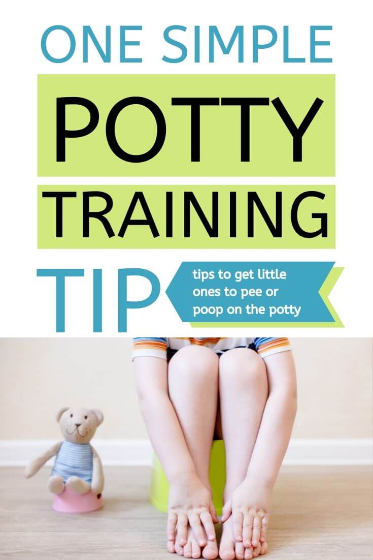 Potty Training Tip Pinnable Image