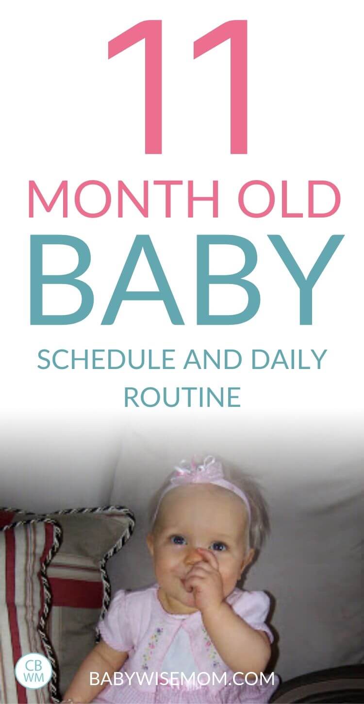 11 month old schedule pinnable image