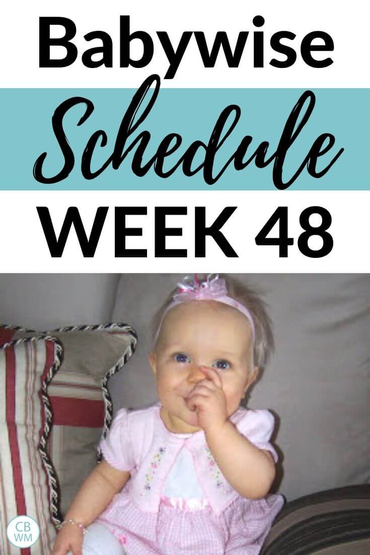 48 week old Baywise Schedule pinnable image