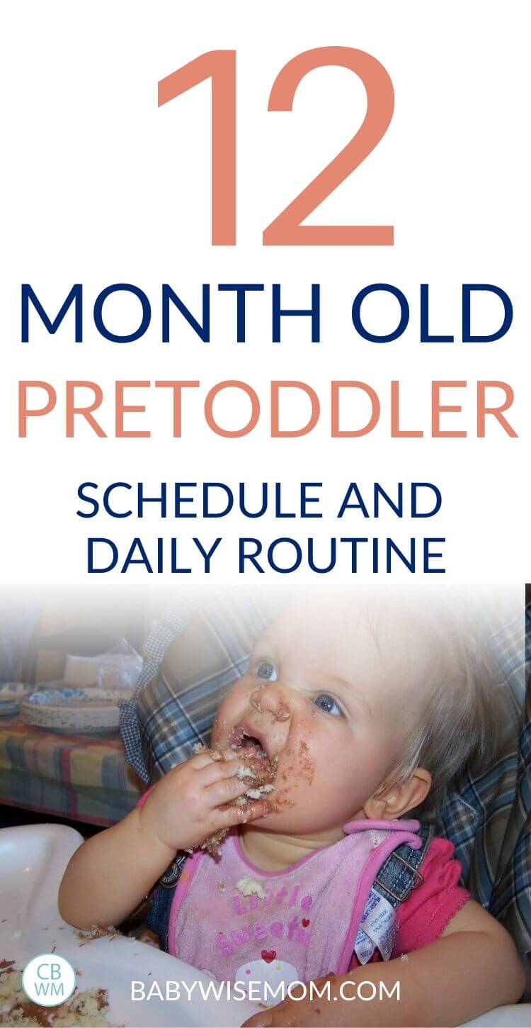 12 month old pretoddler schedule pinnable image