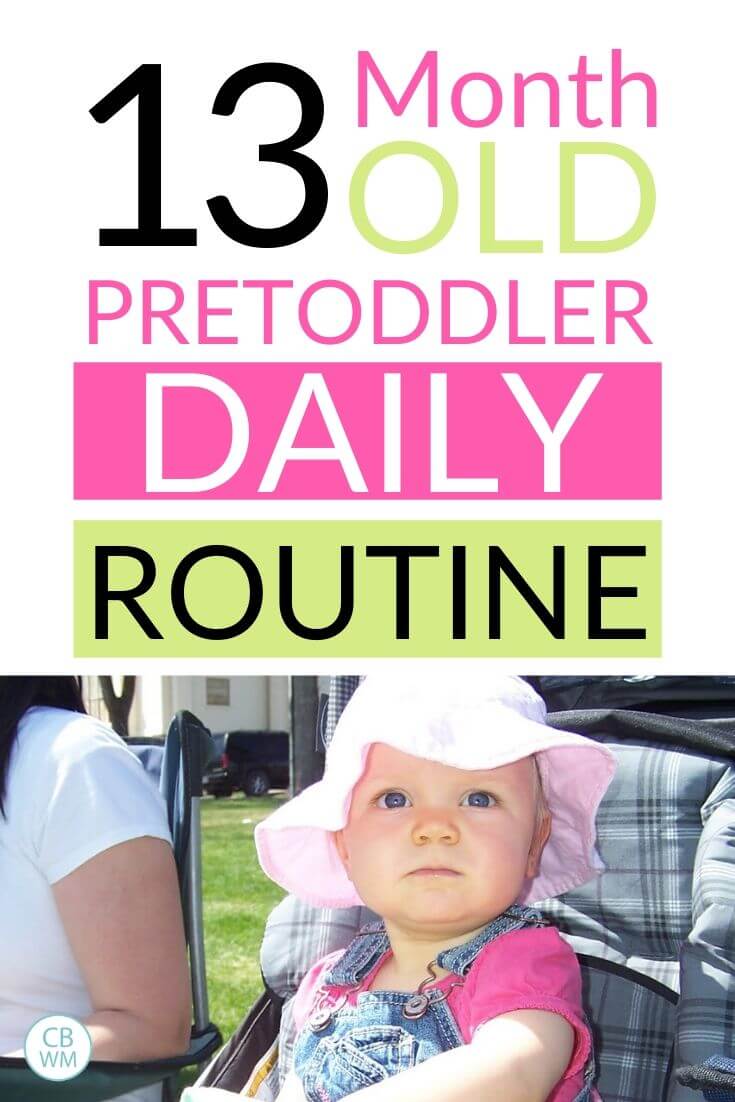 13 month old pretoddler daily routine pinnable image