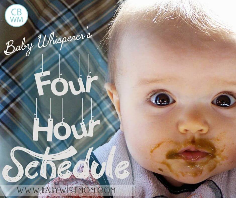 Baby Whisperer's four hour schedule hero image