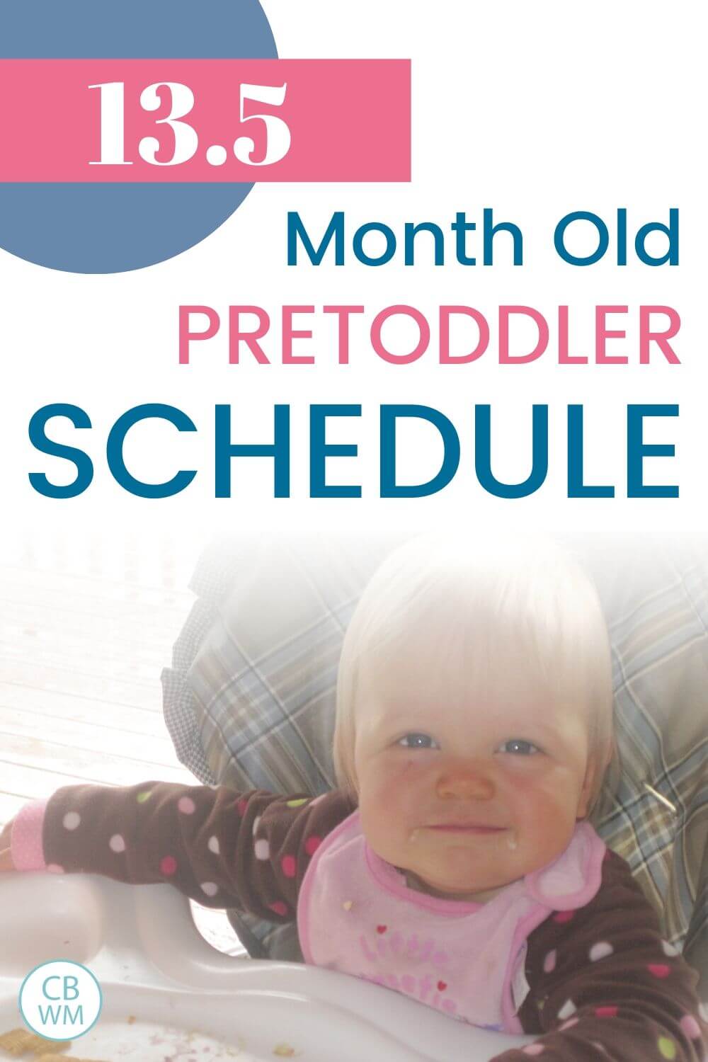 13.5 Month Old Schedule pinnable image