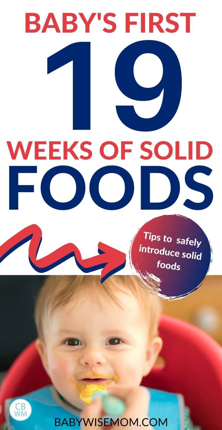 Baby's first 19 weeks of solid foods pinnable image