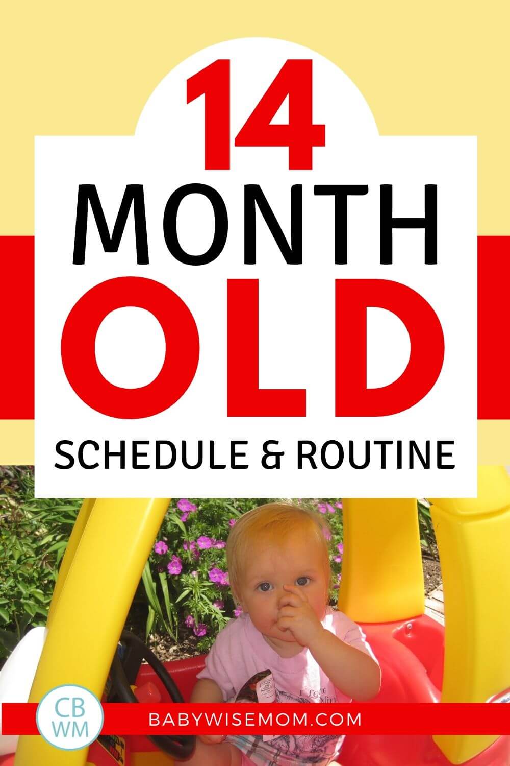 14 month old schedule pinnable image