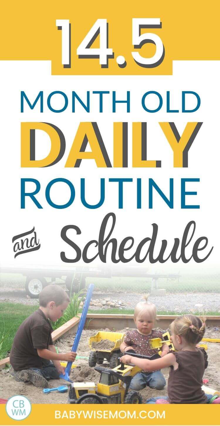 14.5 month old daily routine pinnable image