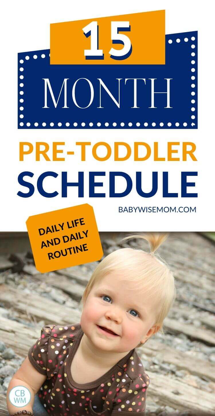 15 month old pretoddler schedule