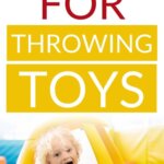 Logical consequences for throwing toys pinnable image