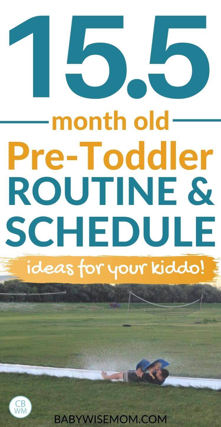 15.5 month old pre-toddler routine and schedule pinnable image